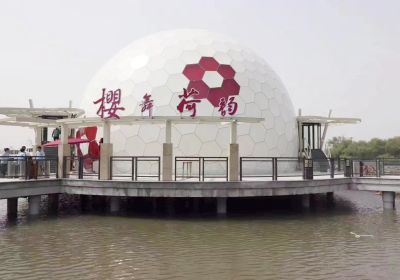 Système de cinéma dôme